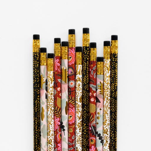 ILLUSTRATED WRITING PENCILS