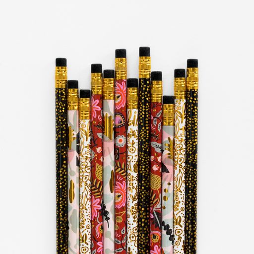 ILLUSTRATED WRITING PENCILS